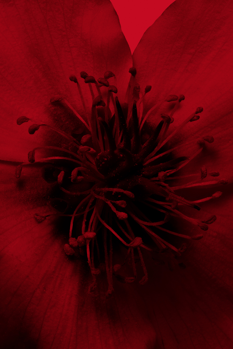 COMME DES GARCONS - Set Design by ANNA PIASEK